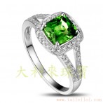 gemring_049