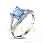 gemring_073