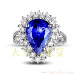 gemring_110