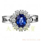 gemring_205